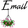 Email Me!!
